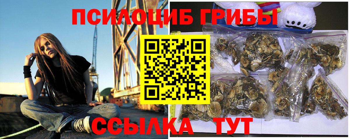 Галлюциногенные грибы Cubensis Каменка