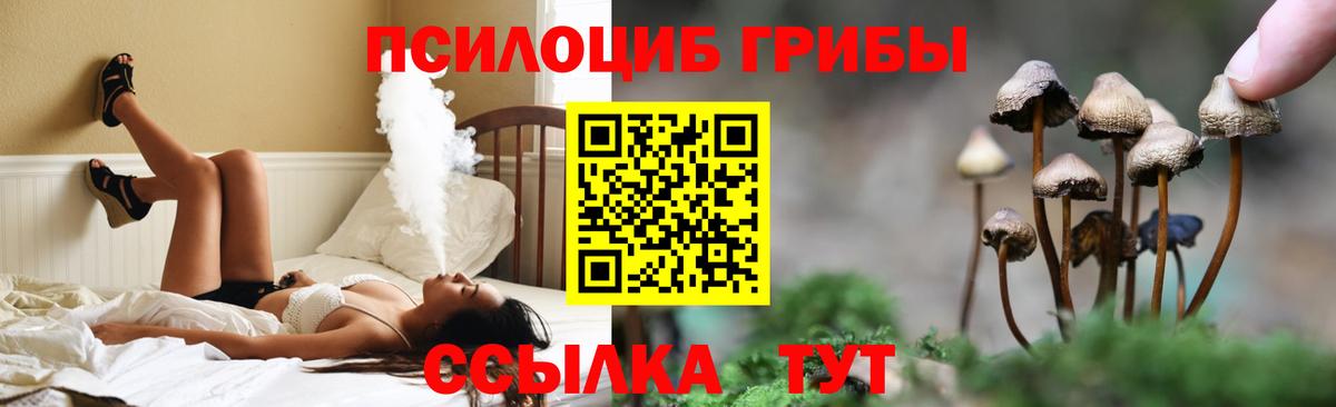 Псилоцибиновые грибы Psilocybe  Галлюциногенные грибы MAGIC MUSHROOMS  Вход с VPN  купить наркоту  Каменка 